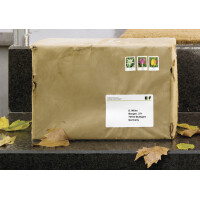 HERMA Wetterfeste Versand-Etiketten SPECIAL, 99,1 x 67,7 mm