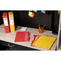 EXACOMPTA Eckspannermappe, DIN A4, Karton, grün