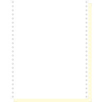 EXACOMPTA Computerpapier endlos, 240 mm x 12" (30,48...