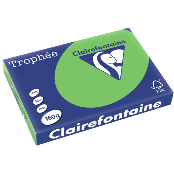 Clairefontaine Multifunktionspapier Trophée, A3, hellgrau