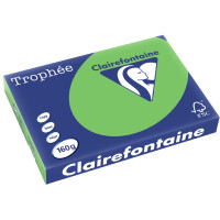 Clairefontaine Multifunktionspapier Trophée, A3, hellgrau