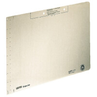 LEITZ Einlegeblatt, (B)323 x (H)224 mm, chamois