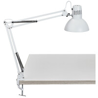 MAUL Tischleuchte MAULstudy, Klemmfuß bis 55 mm, silber