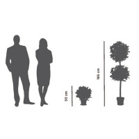 PAPERFLOW Kunstpflanze "Lorbeerbaum",...