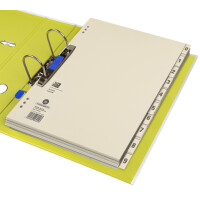 Oxford Trennblätter, 2-seitig bedruckt, chamois,...