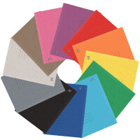 Oxford Schnellhefter Top File+, DIN A4, schwarz