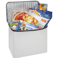 WEDO BigBox Cooler Kühltasche, 16,5 Liter, hellgrau