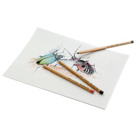 FABER-CASTELL Buntstift PITT PASTELL, sepia dunkel