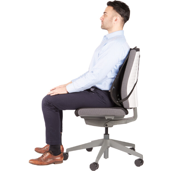 Fellowes Netz-Rückenstütze Professional Series, schwarz