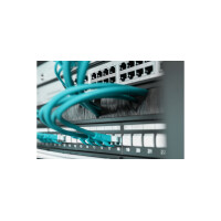 DIGITUS 19" Kabeldurchführungspanel, 1 HE, schwarz