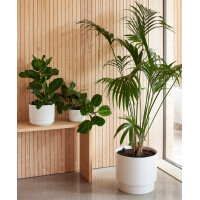 orthex Blumentopf PAULINA, Durchmesser: 140 mm, betongrau