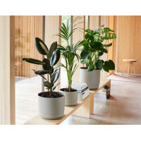 orthex Blumentopf PAULINA, Durchmesser: 140 mm, betongrau