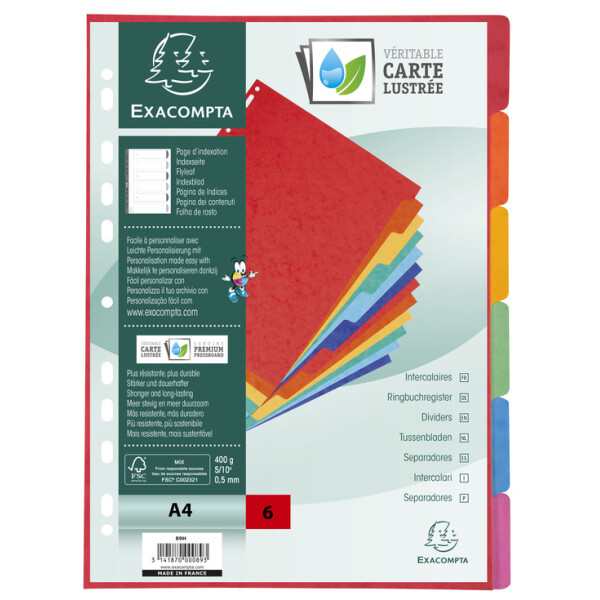 EXACOMPTA Karton-Register, DIN A4, 6-teilig