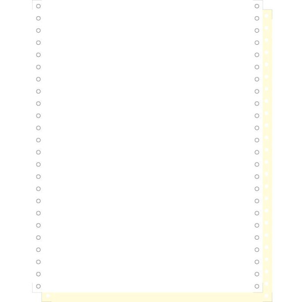 EXACOMPTA Computerpapier endlos, 240 mm x 12" (30,48 cm)
