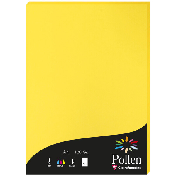 Pollen by Clairefontaine Papier DIN A4, schwarz