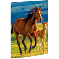 RNK Verlag Zeichnungsmappe "Free Horses", DIN A3