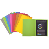 EXACOMPTA Aktendeckel ROCKS, DIN A4, 80 g qm, grau