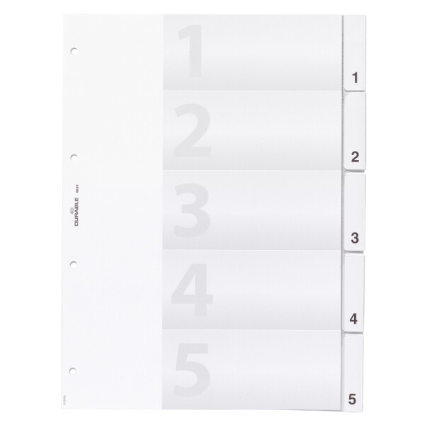 DURABLE Kunststoff-Register, A4, 10-teilig, transparent