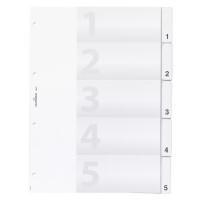 DURABLE Kunststoff-Register, A4, 10-teilig, transparent