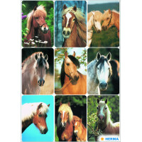 HERMA Sticker DECOR "Pferderassen"