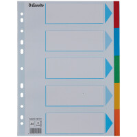 Esselte Karton-Register, blanko, A4, 6-teilig, mehrfarbig
