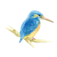 Tombow Buntstifte "IROJITEN" Woodlands, 30er Set