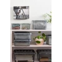 smartstore Aufbewahrungsbox COLOUR 46 L, 46 Liter, grau