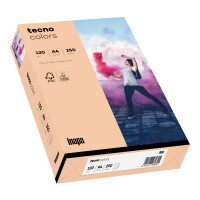 tecno colors lachs Kopierpapier A4 120g/m2 - 1 Palette...