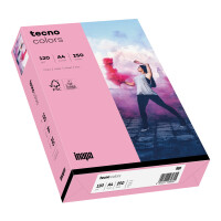 tecno colors rosa Kopierpapier A4 120g/m2 - 1 Palette...