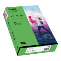 tecno colors intensivgrün Kopierpapier A4 120g/m2 -...