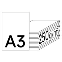 Color Copy hochweiß Kopierpapier A3 250g/m2 - 1 Karton (875 Blatt)