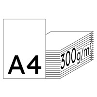 Color Copy hochweiß Kopierpapier A4 300g/m2 - 1 Karton (625 Blatt)
