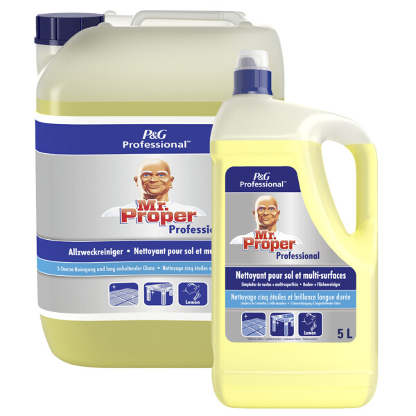 P&amp;G Professional Meister Proper Allzweckreiniger, 10l, Ocean