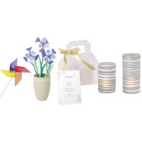 folia Transparentpapier, (B)505 x (L)700 mm, violett