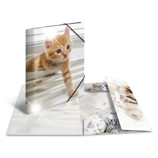 HERMA Eckspannermappe "Pferde", PP Glossy, DIN A4