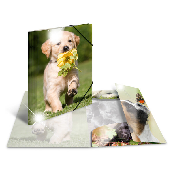 HERMA Eckspannermappe "Pferde", PP Glossy, DIN A4