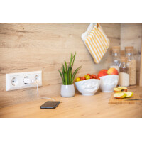 ANSMANN USB-Steckdosenadapter Home Charger HC218PD, 2x USB