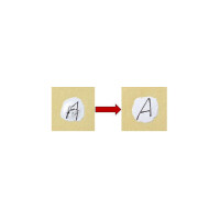 Pentel Fein-Korrekturstift ZLE53-W, Inhalt: 7 ml