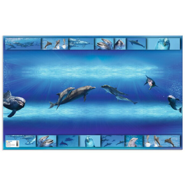 HERMA Schreibunterlage "Afrika Tiere", (B)550 x (H)350 mm