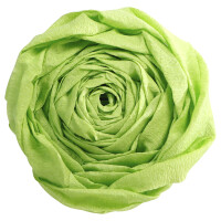 Clairefontaine Krepp-Papier, (B)500 mm x (L)2,5 m, kanarien-