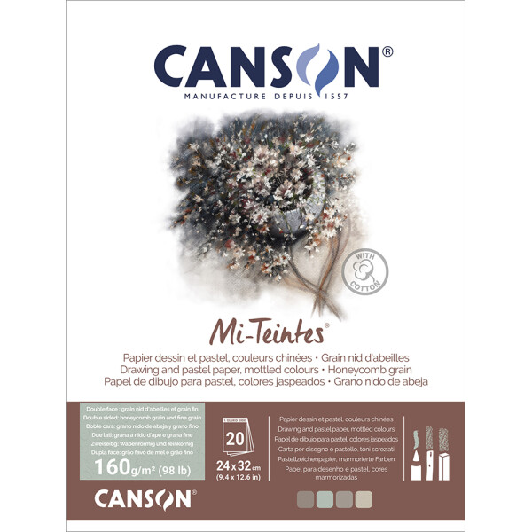 CANSON Zeichenpapier Mi-Teintes, im Block, 320 x 410 mm