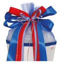 ROTH Schultütenschleife "Speed",...