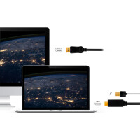 LogiLink HDMI-Kabel, HDMI-A + USB-A - DisplayPort Stecker