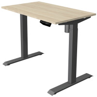 kerkmann Sitz-Steh-Schreibtisch Move 1, (B)1.200 mm, grau