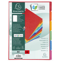EXACOMPTA Karton-Register, DIN A4+, 12-teilig