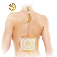 HARO Wärmepflaster, 130 x 190 mm, weiß