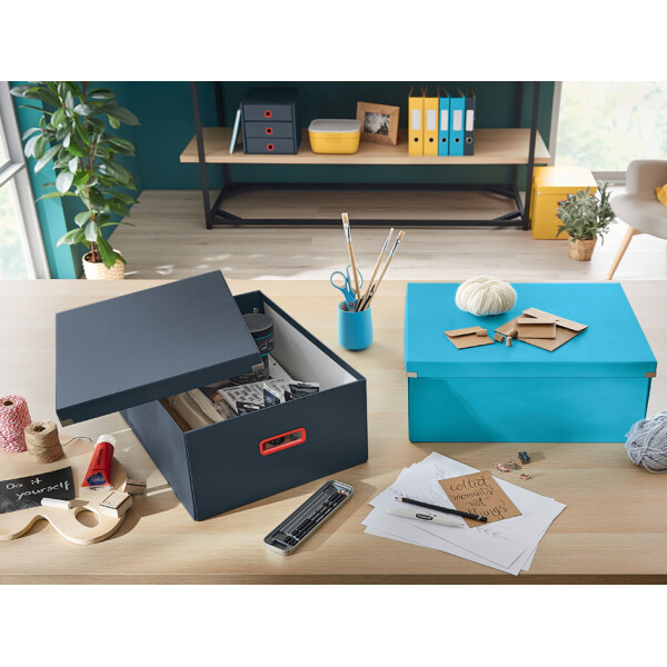 LEITZ Ablagebox Click & Store Cosy L, gelb