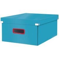 LEITZ Ablagebox Click & Store Cosy L, gelb