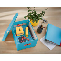 LEITZ Ablagebox Click & Store Cosy L, gelb