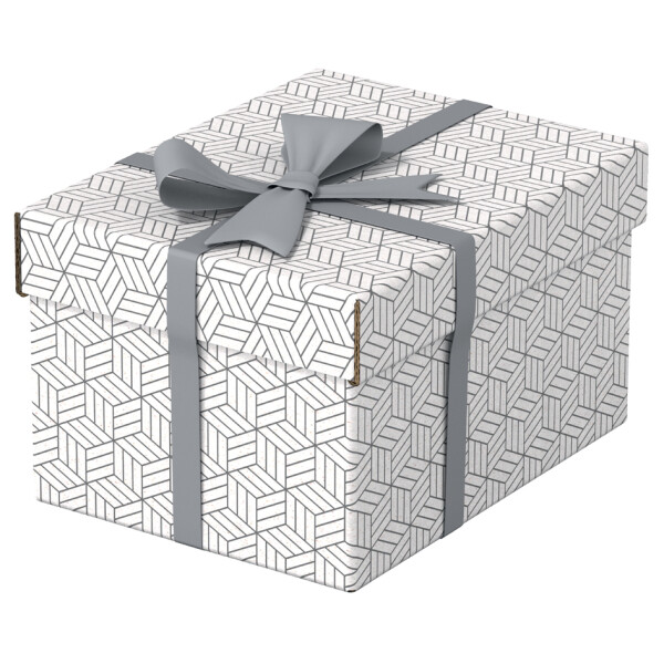 Esselte Aufbewahrungs- & Geschenkbox Home M, 3er Set, grau